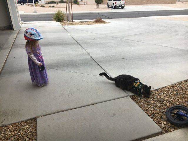 daily picdump 105 pics 38.html - 105 HD Photos | Premium Gallery 2018