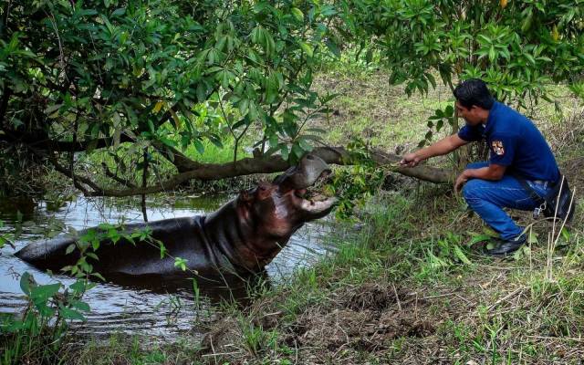 daily picdump 105 pics 38.html - 105 HD Photos | Premium Gallery 2018