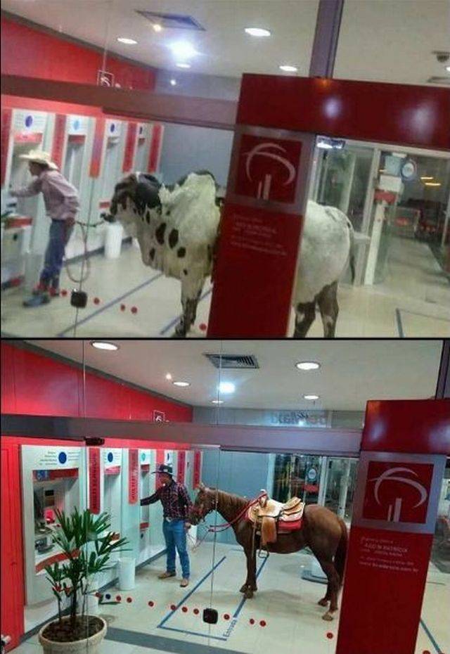 daily picdump 105 pics 38.html - 105 HD Photos | Premium Gallery 2018