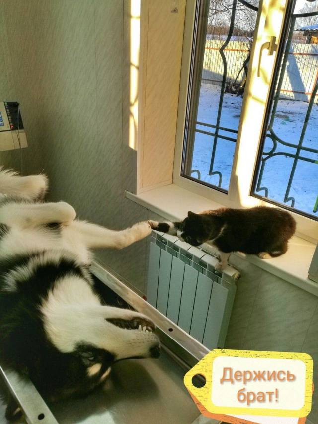 daily picdump 105 pics 38.html - 105 HD Photos | Premium Gallery 2018