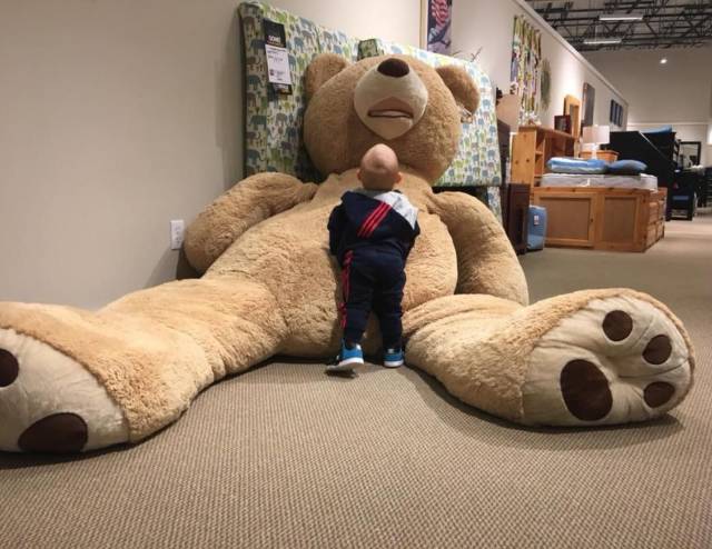 daily picdump 100 pics 34.html - 100 HD Photos | Premium Gallery 2018