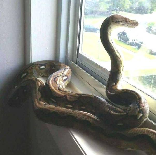 daily picdump 100 pics 34.html - 100 HD Photos | Premium Gallery 2018