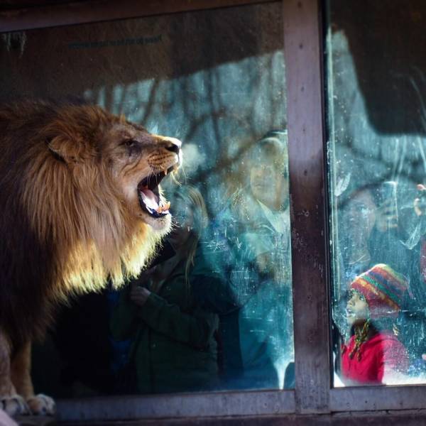 daily picdump 100 pics 34.html - 100 HD Photos | Premium Gallery 2018