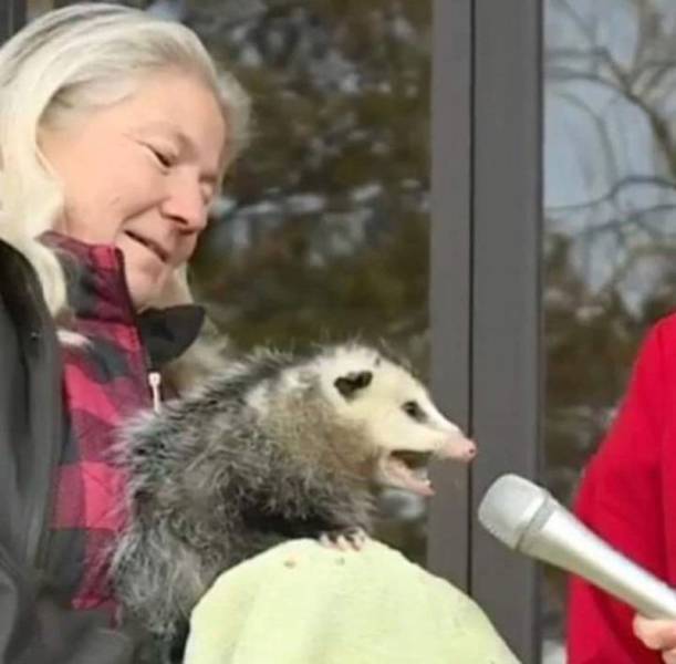 daily picdump 100 pics 34.html - 100 HD Photos | Premium Gallery 2018