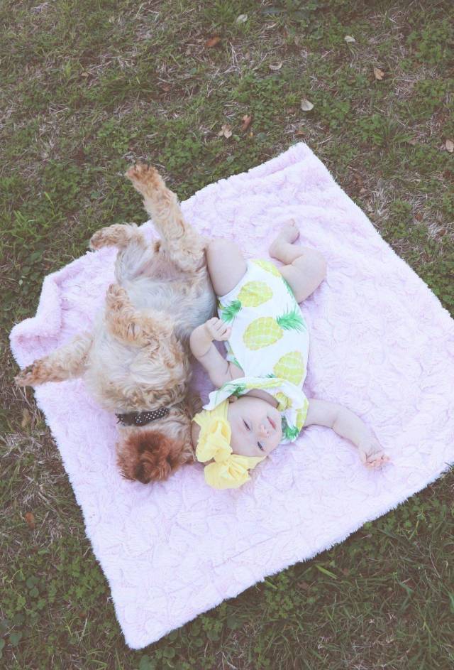 daily picdump 100 pics 34.html - 100 HD Photos | Premium Gallery 2018