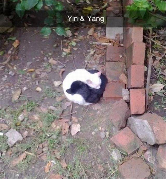 daily picdump 100 pics 34.html - 100 HD Photos | Premium Gallery 2018