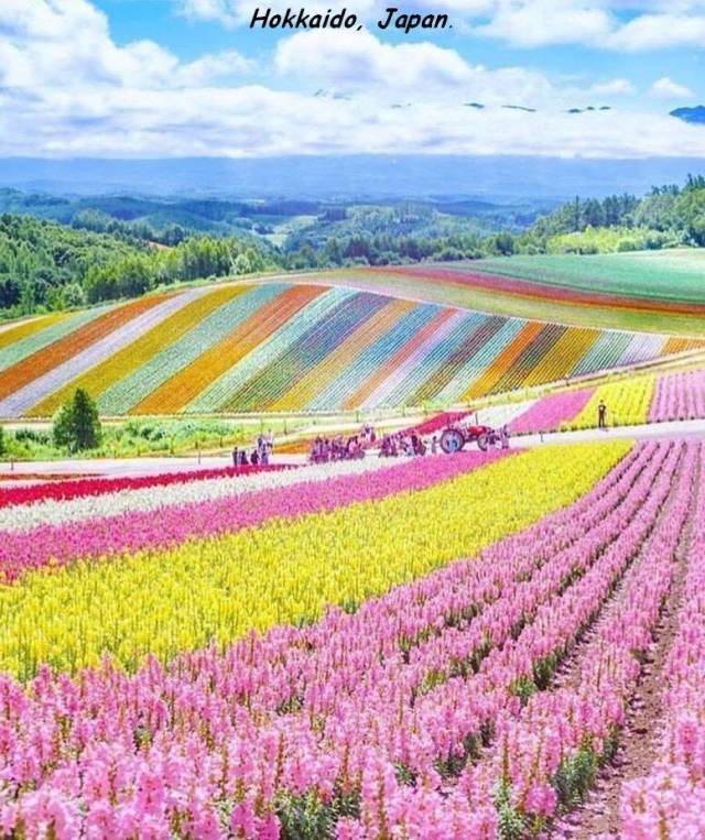 daily picdump 100 pics 34.html - 100 HD Photos | Premium Gallery 2018