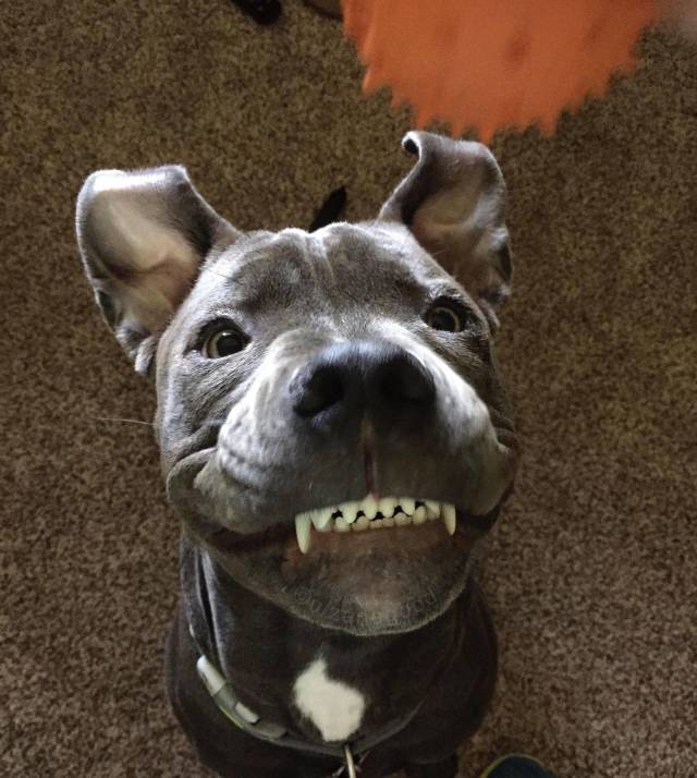 daily picdump 100 pics 34.html - 100 HD Photos | Premium Gallery 2018