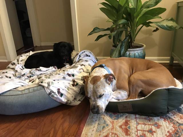 morning picdump 50 pics 21.html - 50 HD Photos | Premium Gallery 2018