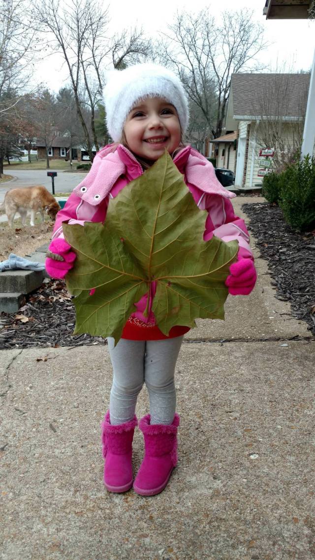 morning picdump 50 pics 21.html - 50 HD Photos | Premium Gallery 2018