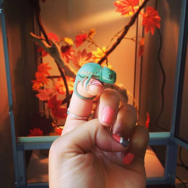 daily picdump 94 pics 21.html - 94 HD Photos | Premium Gallery 2018