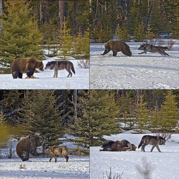 daily picdump 94 pics 21.html - 94 HD Photos | Premium Gallery 2018