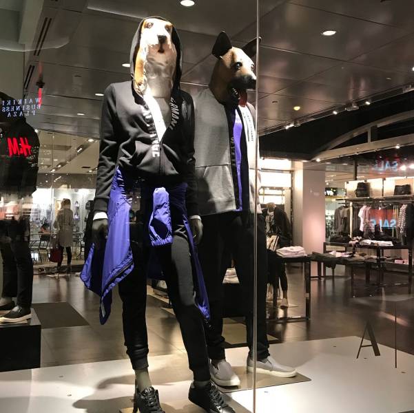 daily picdump 94 pics 21.html - 94 HD Photos | Premium Gallery 2018