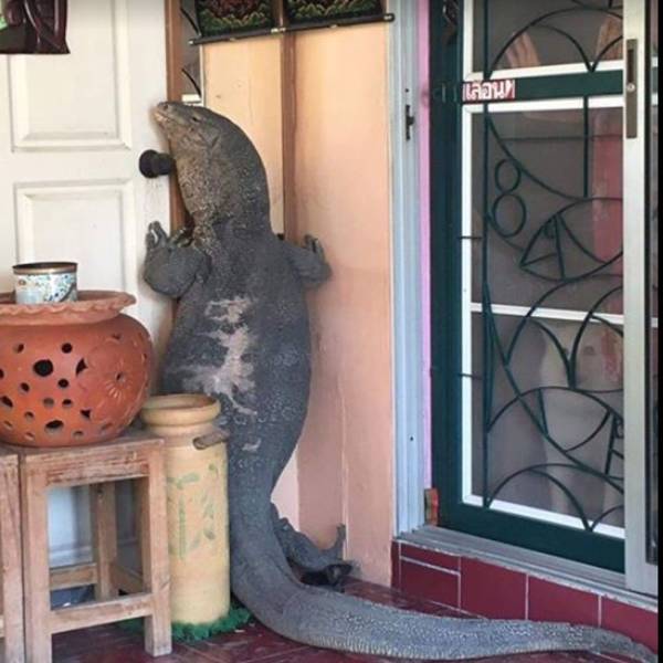 daily picdump 94 pics 21.html - 94 HD Photos | Premium Gallery 2018