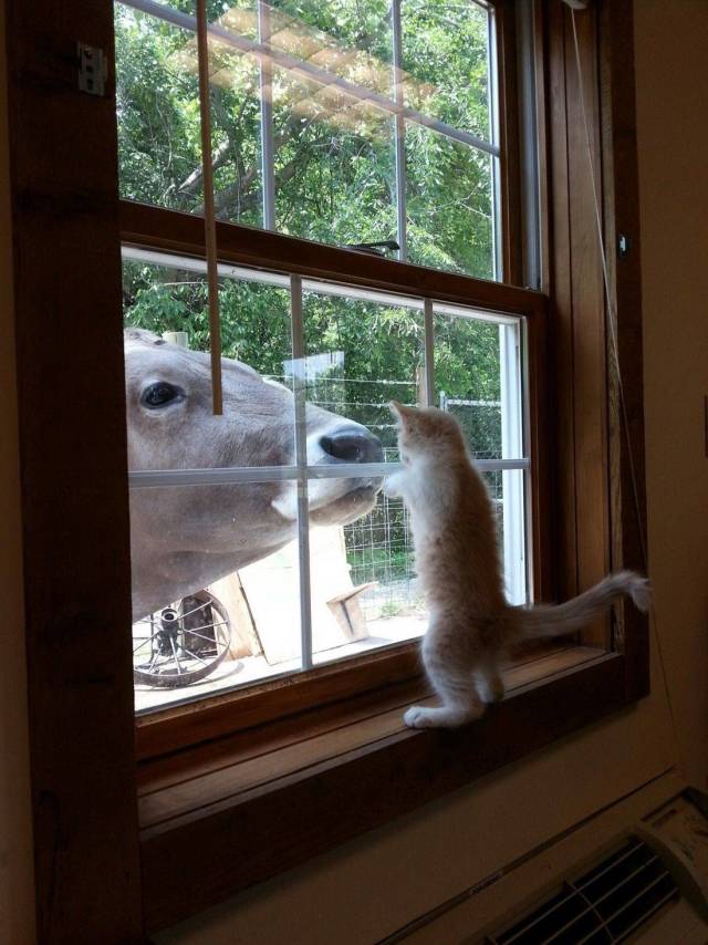 daily picdump 94 pics 21.html - 94 HD Photos | Premium Gallery 2018