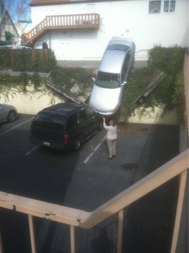 daily picdump 94 pics 21.html - 94 HD Photos | Premium Gallery 2018