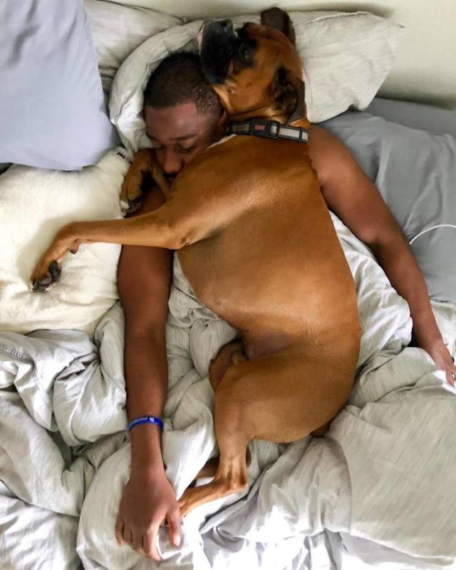 daily picdump 94 pics 21.html - 94 HD Photos | Premium Gallery 2018