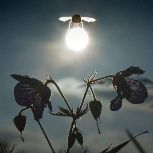 daily picdump 94 pics 21.html - 94 HD Photos | Premium Gallery 2018