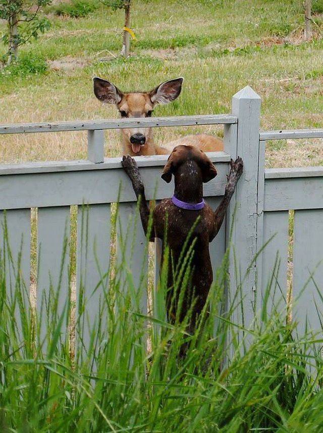 daily picdump 94 pics 21.html - 94 HD Photos | Premium Gallery 2018