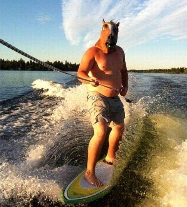 daily picdump 94 pics 21.html - 94 HD Photos | Premium Gallery 2018