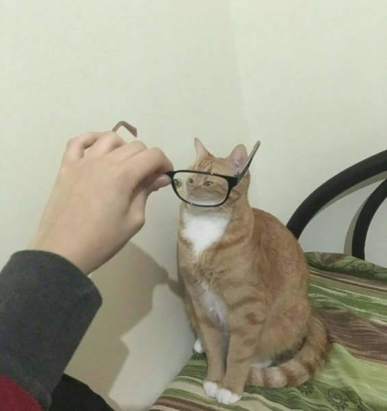 morning picdump 53 pics 33.html - 53 HD Photos | Premium Gallery 2018