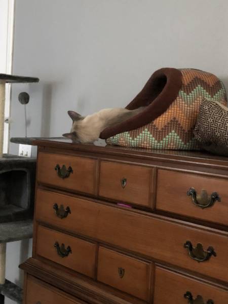 morning picdump 53 pics 33.html - 53 HD Photos | Premium Gallery 2018