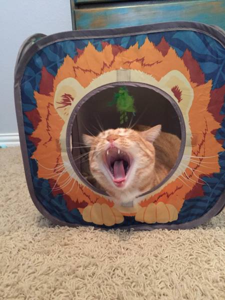 morning picdump 53 pics 33.html - 53 HD Photos | Premium Gallery 2018