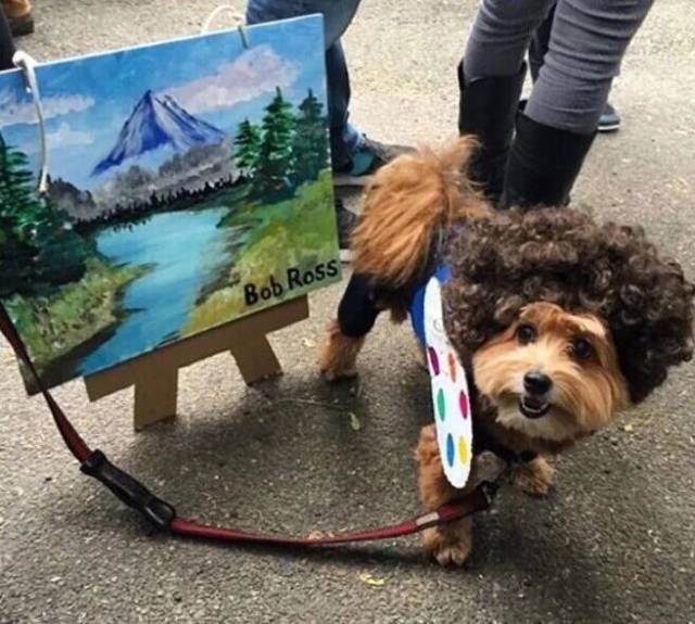 morning picdump 53 pics 33.html - 53 HD Photos | Premium Gallery 2018