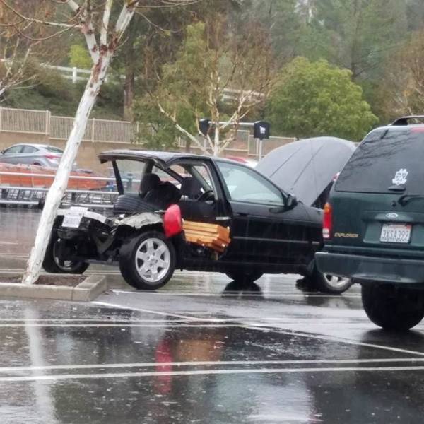 daily picdump 92 pics 42.html - 92 HD Photos | Premium Gallery 2018