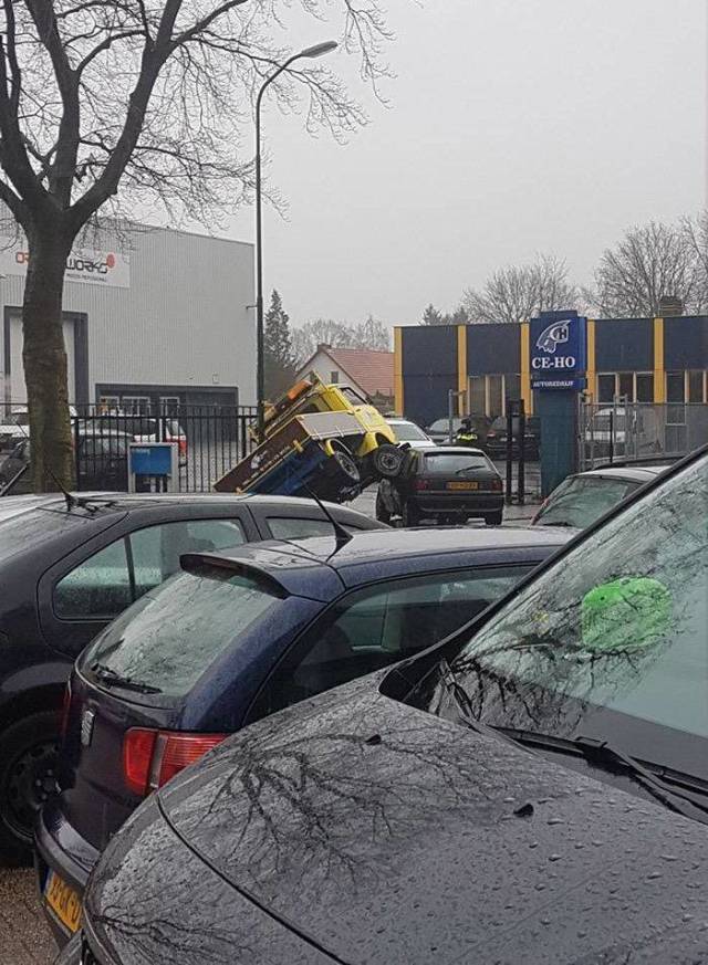 daily picdump 92 pics 42.html - 92 HD Photos | Premium Gallery 2018