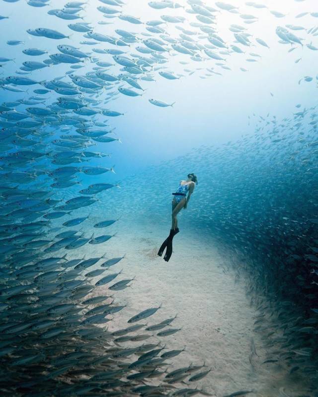 daily picdump 92 pics 42.html - 92 HD Photos | Premium Gallery 2018