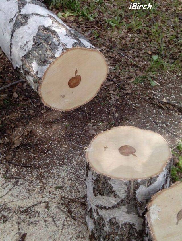 daily picdump 92 pics 42.html - 92 HD Photos | Premium Gallery 2018