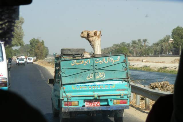 morning picdump 50 pics 10.html - 50 HD Photos | Premium Gallery 2018