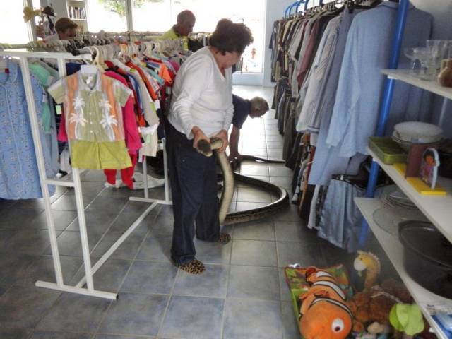 daily picdump 98 pics 35.html - 98 HD Photos | Premium Gallery 2018