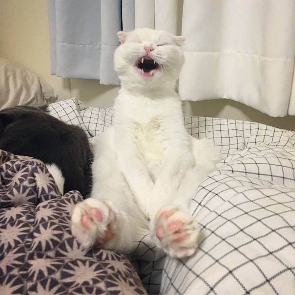 daily picdump 98 pics 35.html - 98 HD Photos | Premium Gallery 2018