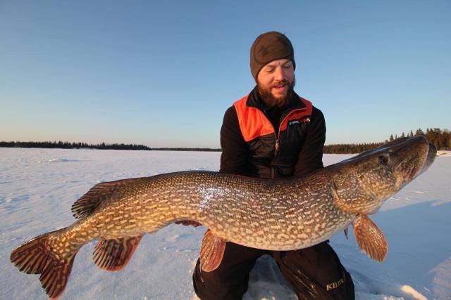 daily picdump 98 pics 35.html - 98 HD Photos | Premium Gallery 2018