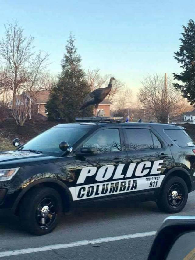 daily picdump 98 pics 35.html - 98 HD Photos | Premium Gallery 2018