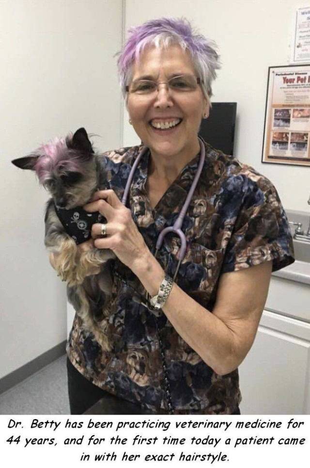 daily picdump 98 pics 35.html - 98 HD Photos | Premium Gallery 2018