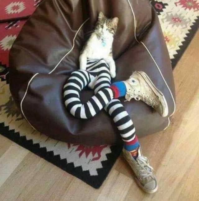 daily picdump 98 pics 35.html - 98 HD Photos | Premium Gallery 2018