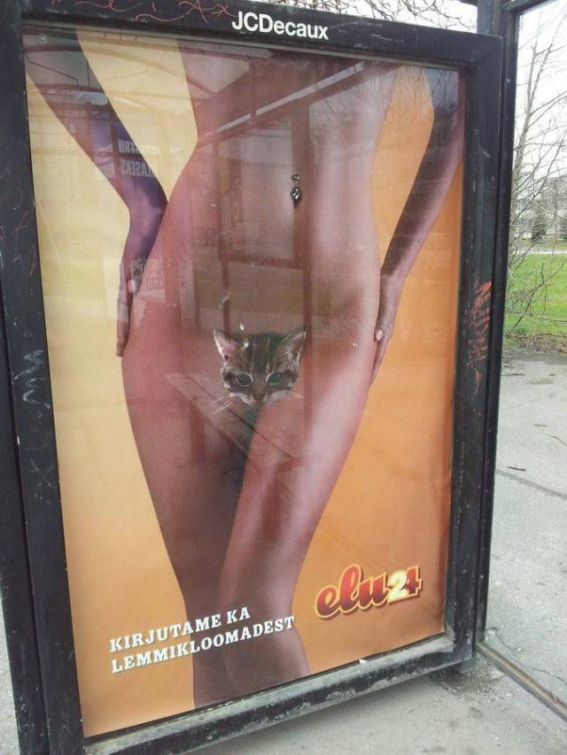 grownup corner 65 pics 26.html - 65 HD Photos | Premium Gallery 2018