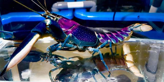 morning picdump 51 pics 25.html - 51 HD Photos | Premium Gallery 2018