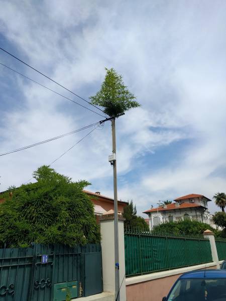 morning picdump 51 pics 25.html - 51 HD Photos | Premium Gallery 2018