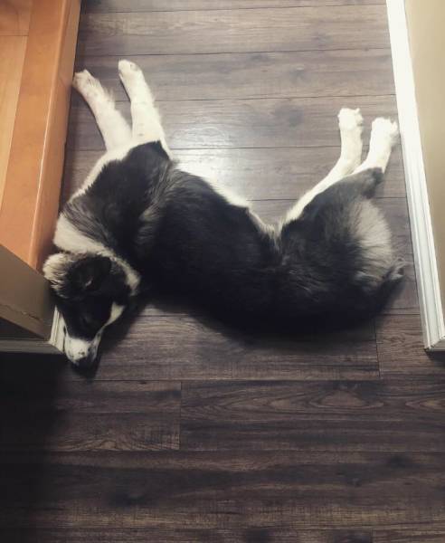 morning picdump 51 pics 25.html - 51 HD Photos | Premium Gallery 2018