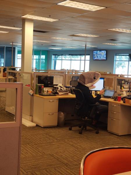 morning picdump 51 pics 25.html - 51 HD Photos | Premium Gallery 2018