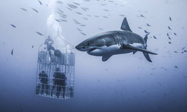 Daily Picdump [WEEKEND EDITION]