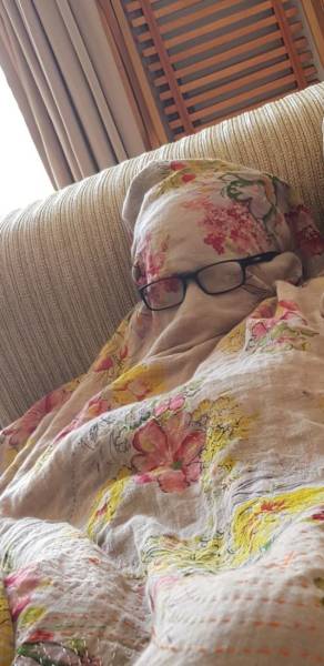 daily picdump weekend edition 51 pics 18.html - 51 HD Photos | Premium Gallery 2018