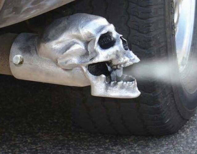 daily picdump weekend edition 51 pics 18.html - 51 HD Photos | Premium Gallery 2018