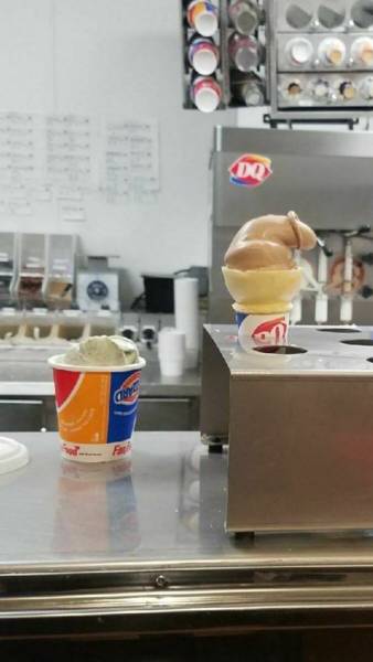 daily picdump weekend edition 51 pics 18.html - 51 HD Photos | Premium Gallery 2018