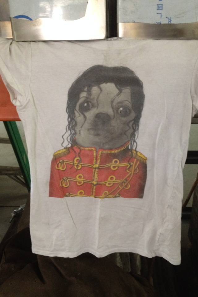 daily picdump weekend edition 51 pics 18.html - 51 HD Photos | Premium Gallery 2018