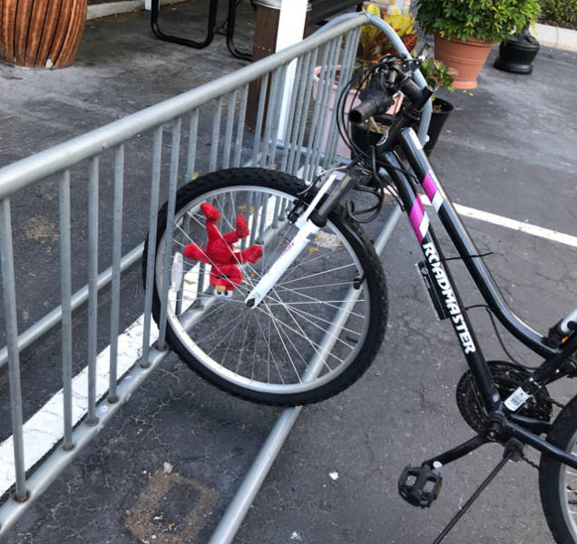 morning picdump 51 pics 6.html - 51 HD Photos | Premium Gallery 2018